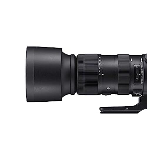Sigma Sports 60-600mm f/4.5-6.3 DG OS HSM Lens for Canon DSLR Cameras (Black)