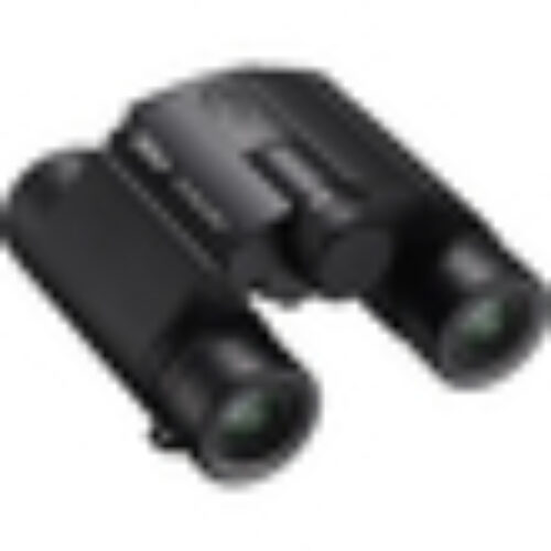 Nikon 10×25 S Stabilized Binoculars