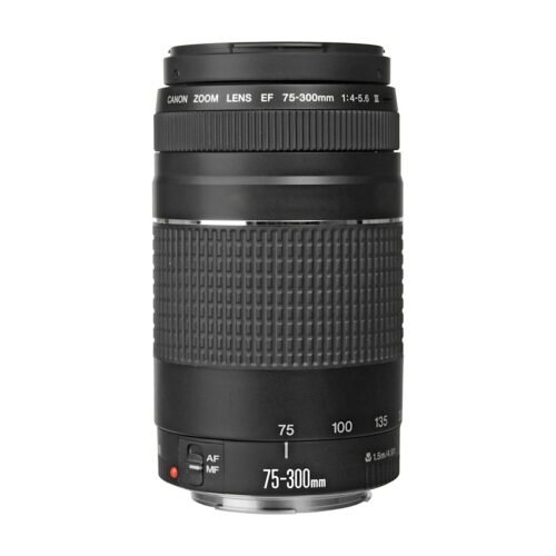 Canon EF 75-300mm f/4-5.6 III USM Lens