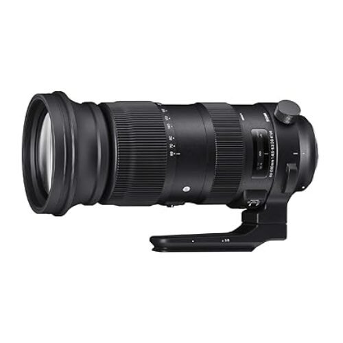 Sigma 60-600mm f/4.5-6.3 DG OS HSM Lens Sports for Nikon DSLR Cameras (Black)