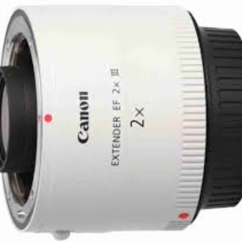 Canon Extender EF 2xIII Wide-angle Zoom Lens  (White)