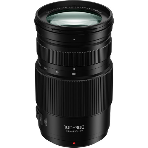 Panasonic LUMIX G Vario 100-300mm f/4-5.6 II POWER O.I.S. Lens Unboxed
